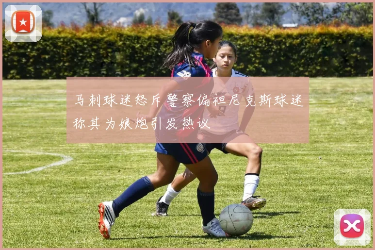 马刺球迷怒斥警察偏袒尼克斯球迷称其为娘炮引发热议
