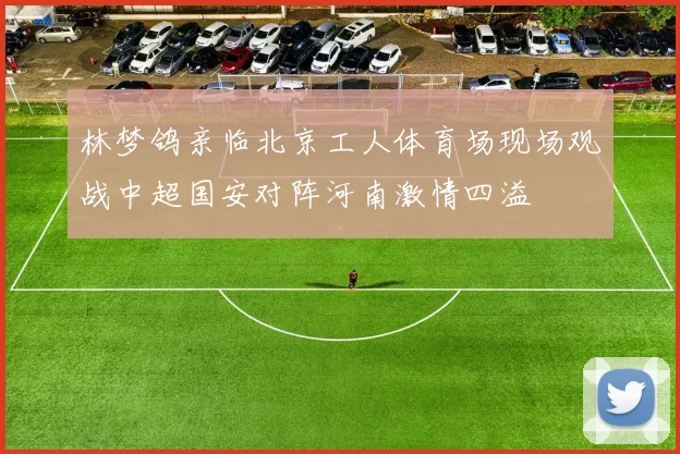 林梦鸽亲临北京工人体育场现场观战中超国安对阵河南激情四溢